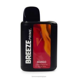 Breeze Prime 6000 bouffées | Breeze Vape No Nicotine D2B205 mangue