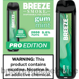 Breeze Pro 2000 bouffées | Breeze Vape Belgique D2B2024 gomme à la menthe