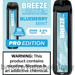 Breeze Pro 2000 bouffées | Breeze Vape Belgique D2B2033 menthe myrtille