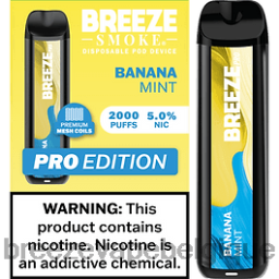 Breeze Pro 2000 bouffées | Breeze Vape Bulk D2B2036 banane menthe