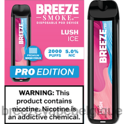 Breeze Pro 2000 bouffées | Breeze Vape Near Me D2B2022 glace luxuriante