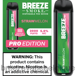 Breeze Pro 2000 bouffées | Breeze Vape No Nicotine D2B2014 melon paille