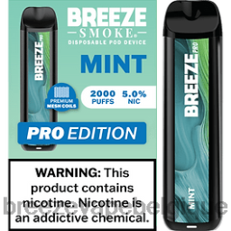 Breeze Pro 2000 bouffées | Breeze Vape Ou Acheter D2B2020 menthe