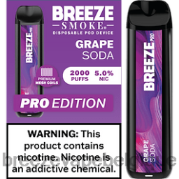 Breeze Pro 2000 bouffées | Breeze Vape Wholesale D2B2025 soda aux raisins