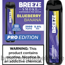 Breeze Pro 2000 bouffées | Breeze Vape Wholesale D2B2034 banane myrtille